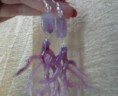 Orecchini